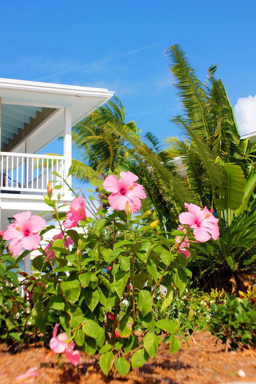 Exuma Beach Resort جورج تاون المظهر الخارجي الصورة